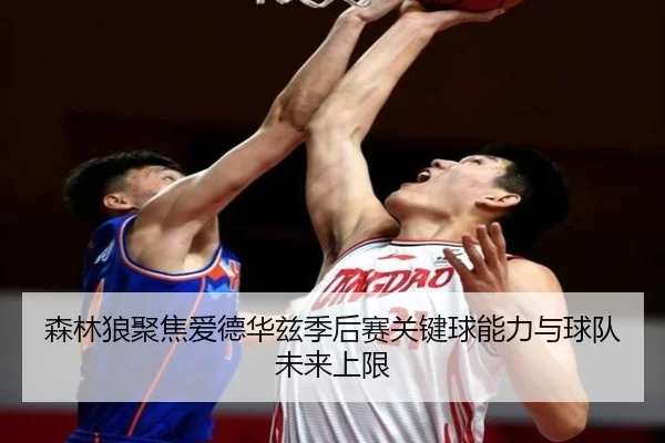 森林狼聚焦爱德华兹季后赛关键球能力与球队未来上限