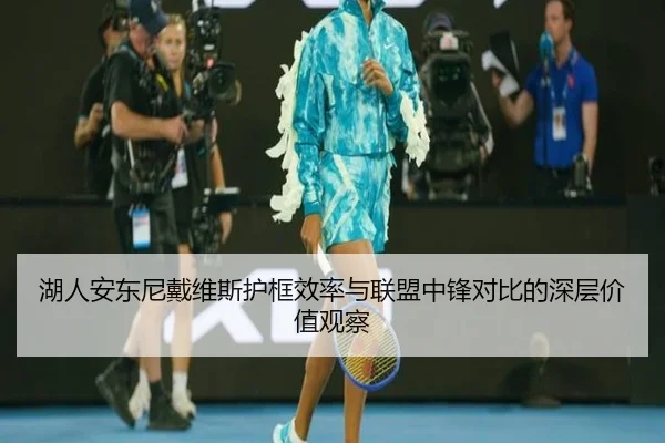 湖人安东尼戴维斯护框效率与联盟中锋对比的深层价值观察